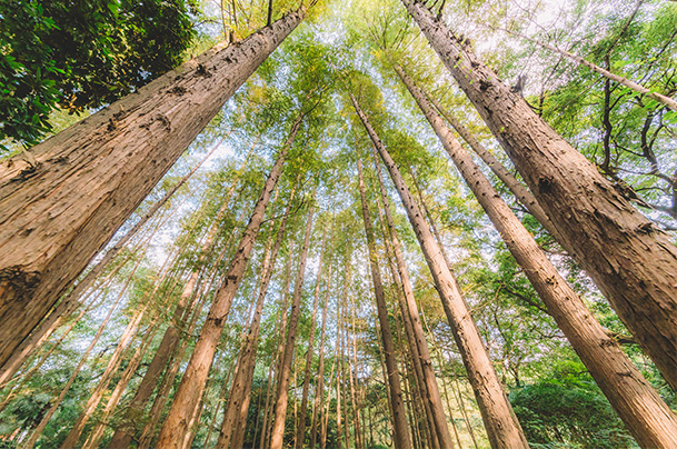 石家莊環(huán)評(píng)公司,環(huán)保咨詢(xún),環(huán)評(píng)編寫(xiě) 石家莊環(huán)評(píng)公司,環(huán)保咨詢(xún),環(huán)評(píng)編寫(xiě)